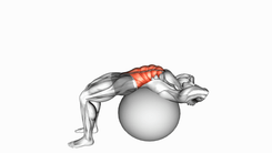 Stability Ball Crunch